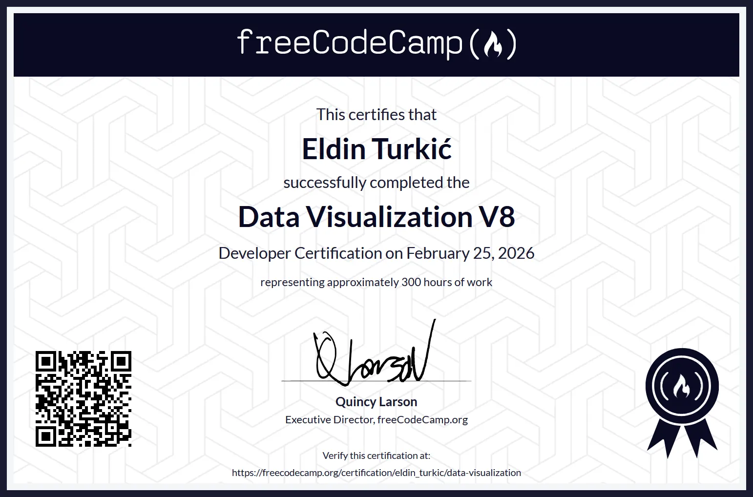 Data Visualization V8 - Eldin Turkić