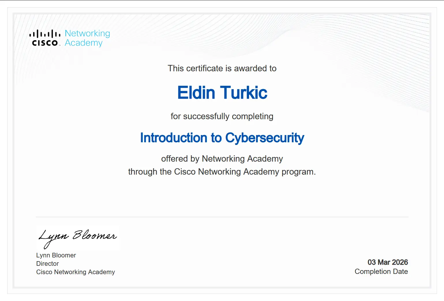 Introduction to Cybersecurity - Eldin Turkić
