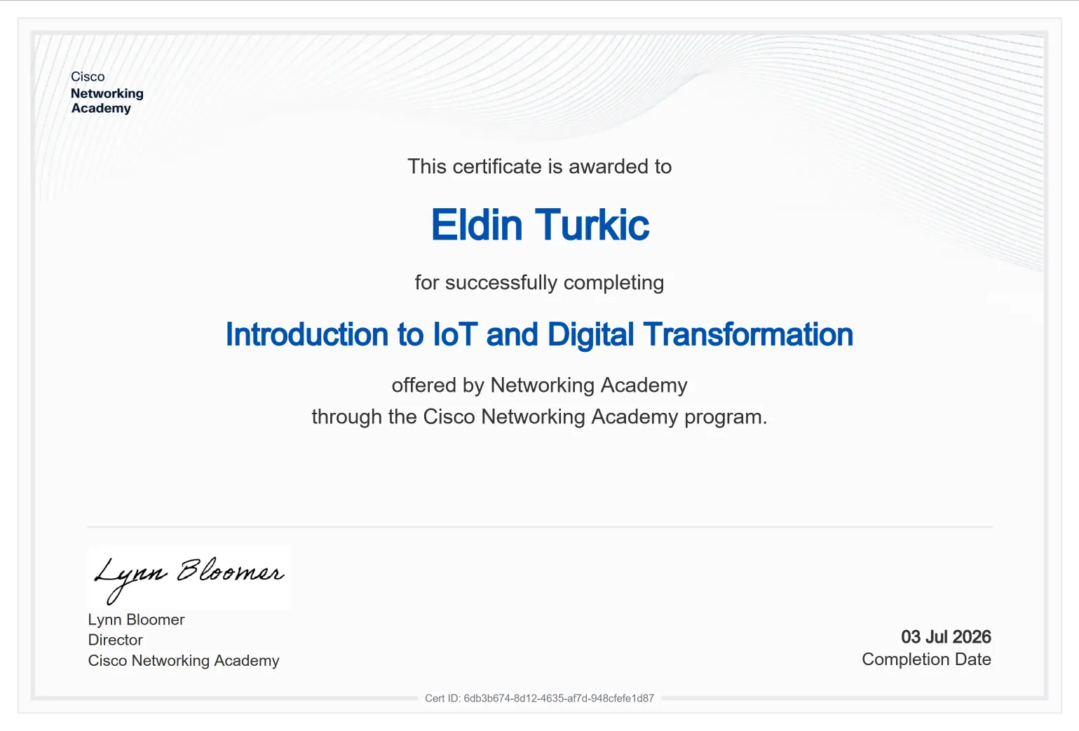 Network Technician Career Path - Eldin Turkić
