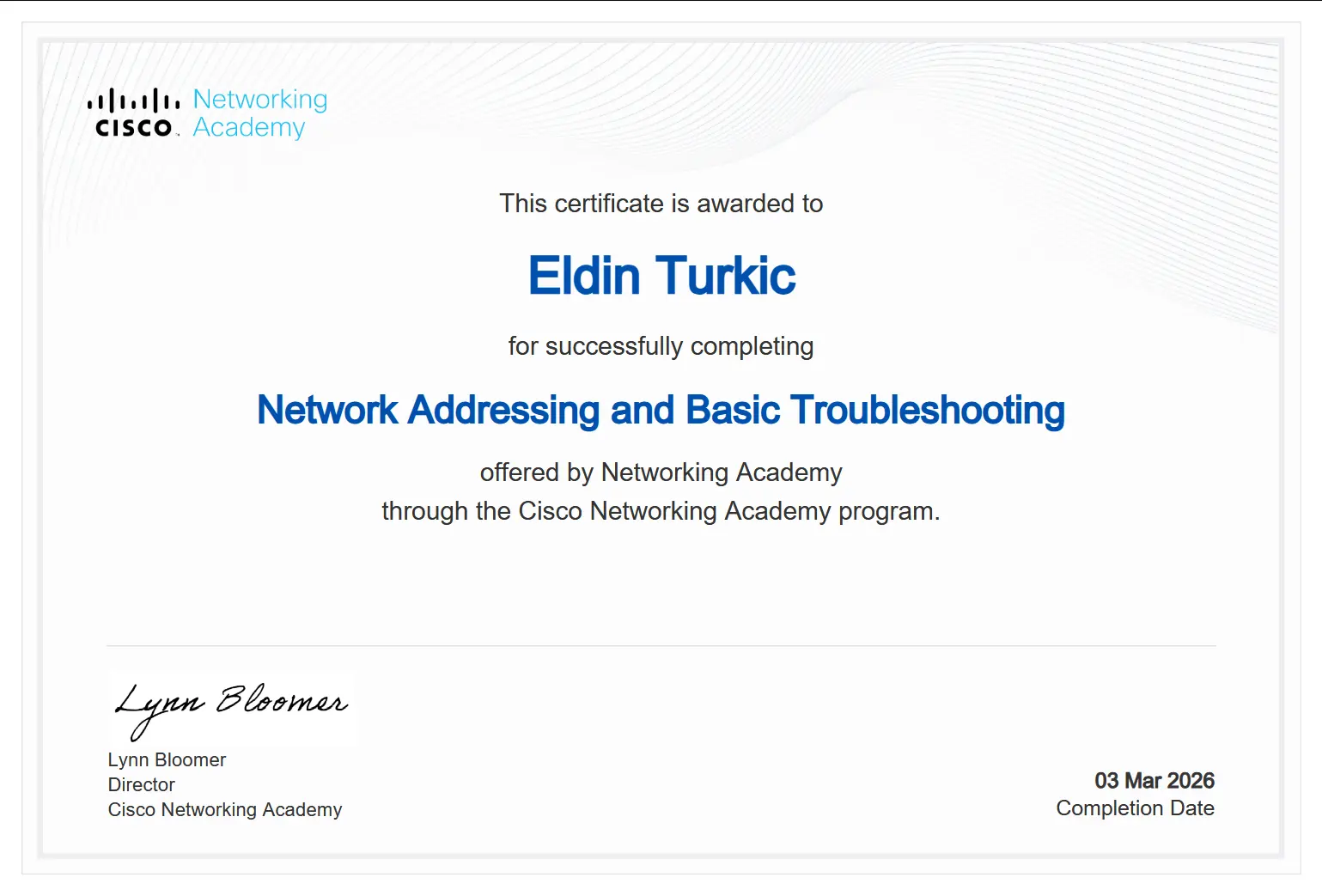 Network Addressing and Basic Troubleshooting - Eldin Turkić