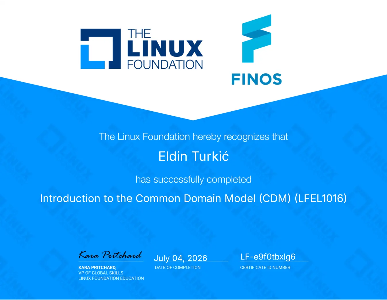 Introduction to Node.js (LFW111) - Eldin Turkić